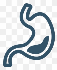Connect2mydoctor Consult A Online Book Png