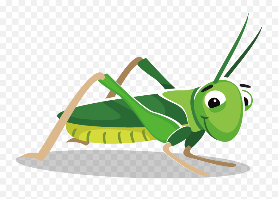 Hd Grasshopper - Grasshopper Cartoon Png,Grasshopper Png