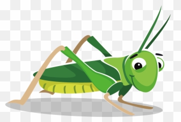 Hd Grasshopper - Grasshopper Cartoon Png,Grasshopper Png