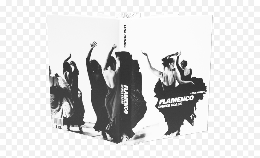 Flamenco Dance Class Book Lena Herzog - Poster Png,Flamenco Png
