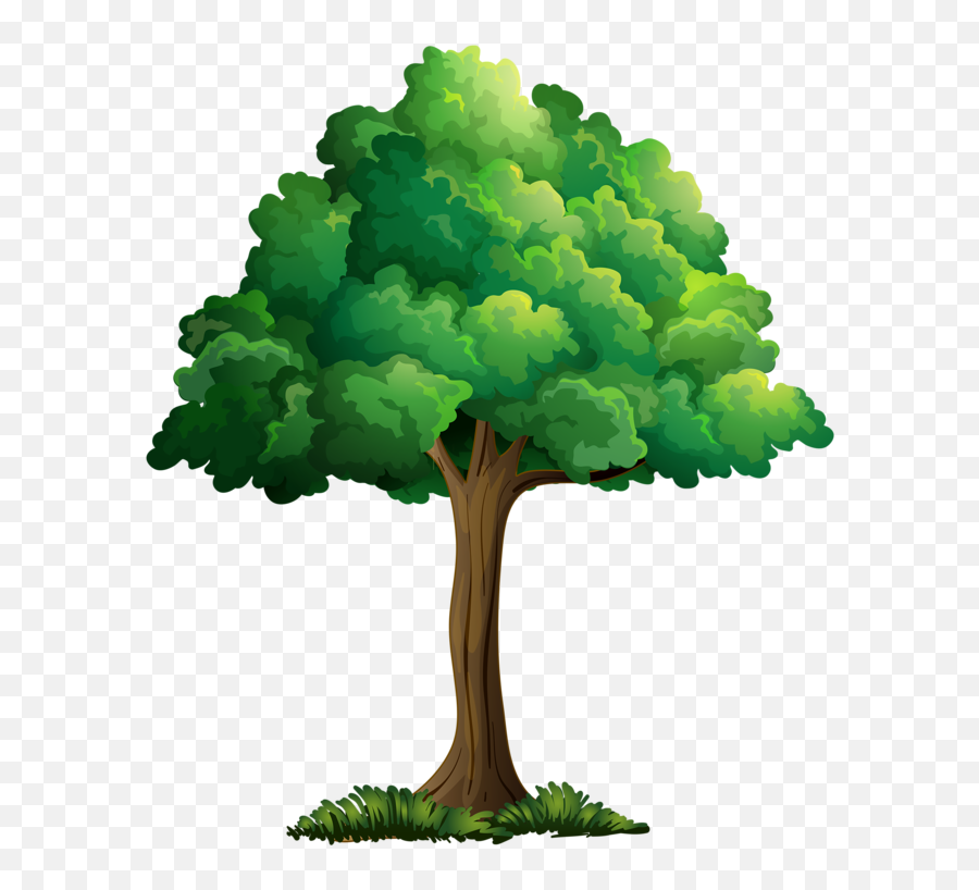 Plant Cartoon Png - Cartoon Trees Picture Tree Realistic Tree Cartoon  Drawing,Plant Cartoon Png - free transparent png images 