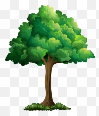 Plant Cartoon Png - Cartoon Trees Picture Realistic Drawing