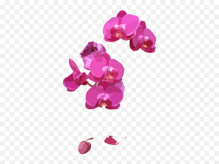 Pink Orchids Clip Art - Vector Clip Art Online Orchid Png Vector,Pink Petals Png