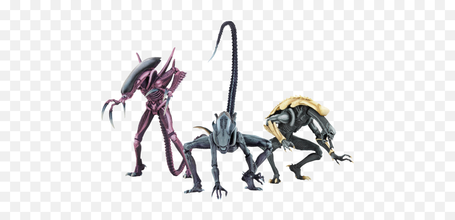 Alien Vs Predator - Neca Arachnoid Alien Figures Png,Alien Vs Predator Logo