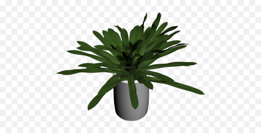 Yucca Palm Tree Small - Design And Decorate Your Room In 3d Houseplant Png,Yucca Png