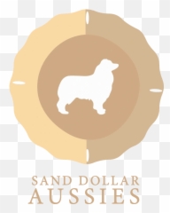 Sanddollaraussies - Mini Aussie Puppies Mini Aussie Breeder Cocker Spaniel Png,Sand Dollar Png
