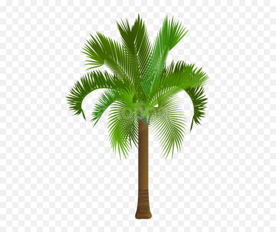 Download Hd Free Png Palm Tree Images Transparent - Free Palm Tree Clipart,Palm Trees Transparent