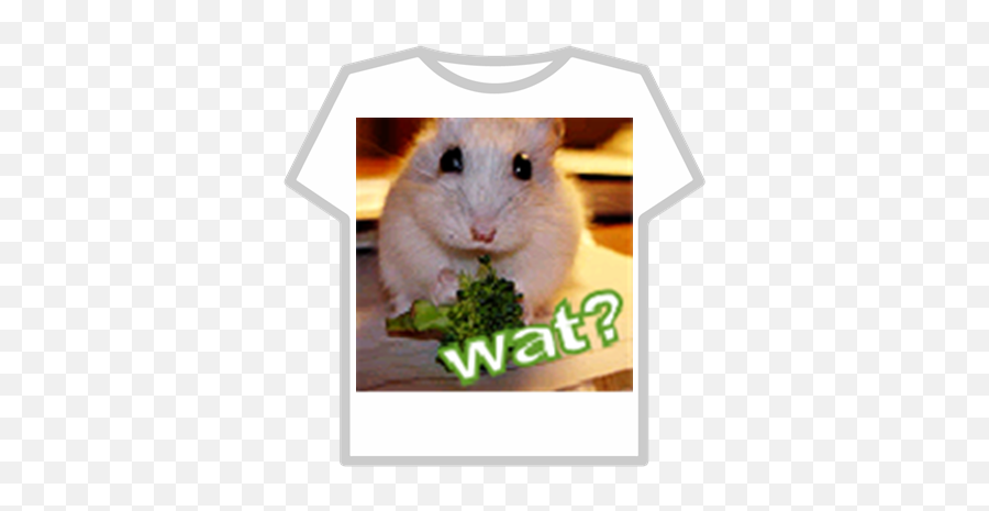 Hamster - Roblox Spider Man Infinity War T Shirt Png,Hamster Png