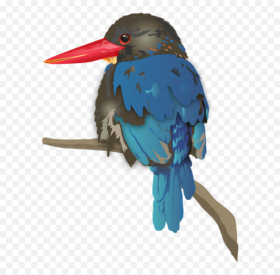 Java Kingfisher Bird Clipart - Javan Kingfisher Png,Bird Clipart Png
