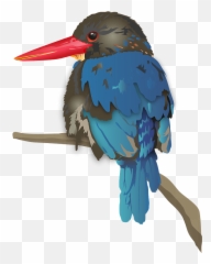 Java Kingfisher Bird Clipart - Javan Kingfisher Png,Bird Clipart Png