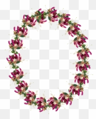 Frame Border Honeysuckle - Flower Wreath Drawing Png,Honeysuckle Png