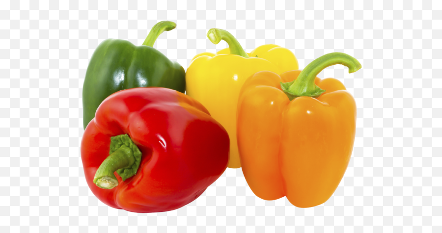 Download Bell Pepper Png Image With No Background - Pngkeycom Vegetable Seeds Online Sri Lanka,Red Pepper Png