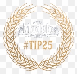 Modelo Tip 25 - Language png