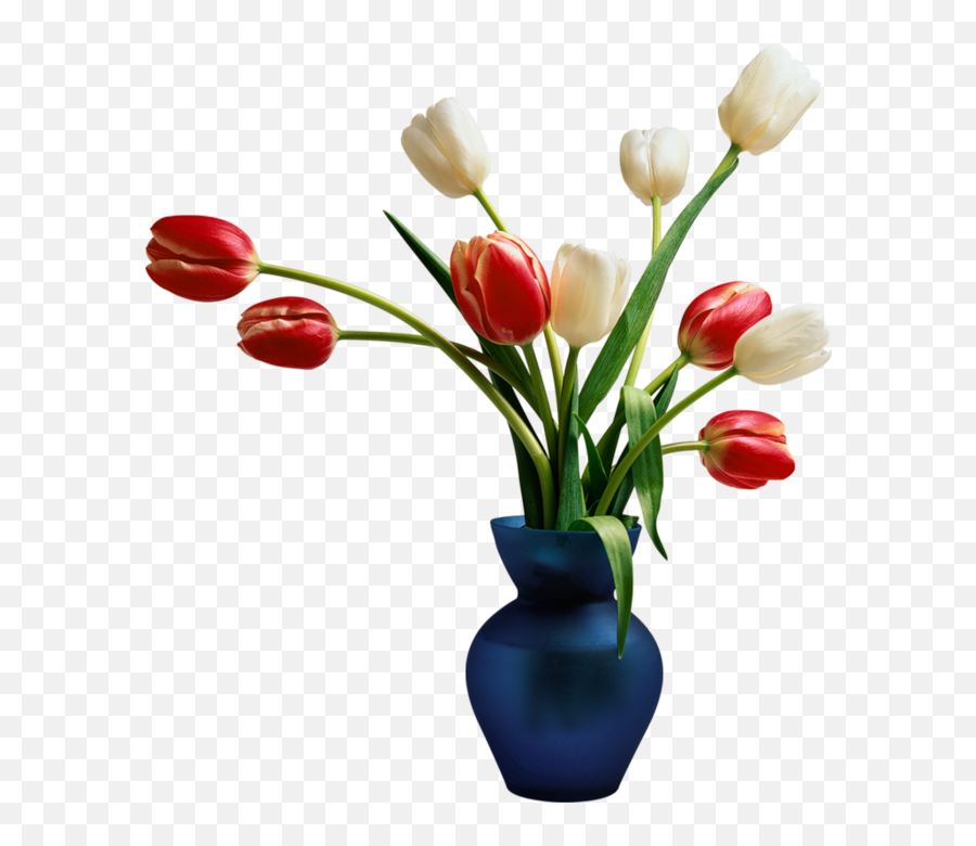 Download Blue Installation Package Tulips Vase Application - Transparent Vase Flower Png,Tulips Transparent Background