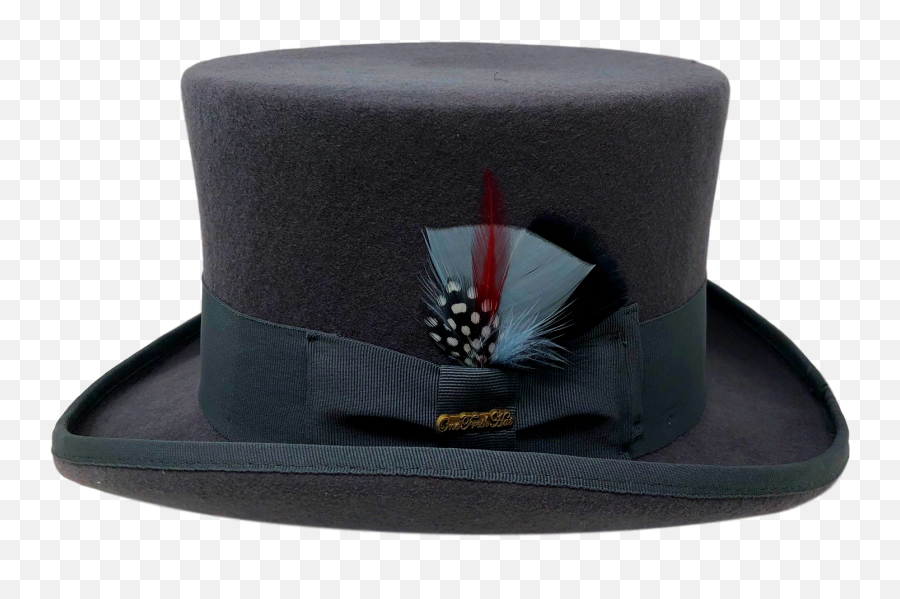 Medicine Man Top Hat - Costume Hat Png,Transparent Top Hat