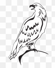 Eagle Wings Spread Clipart - Png Download Full Size Outline