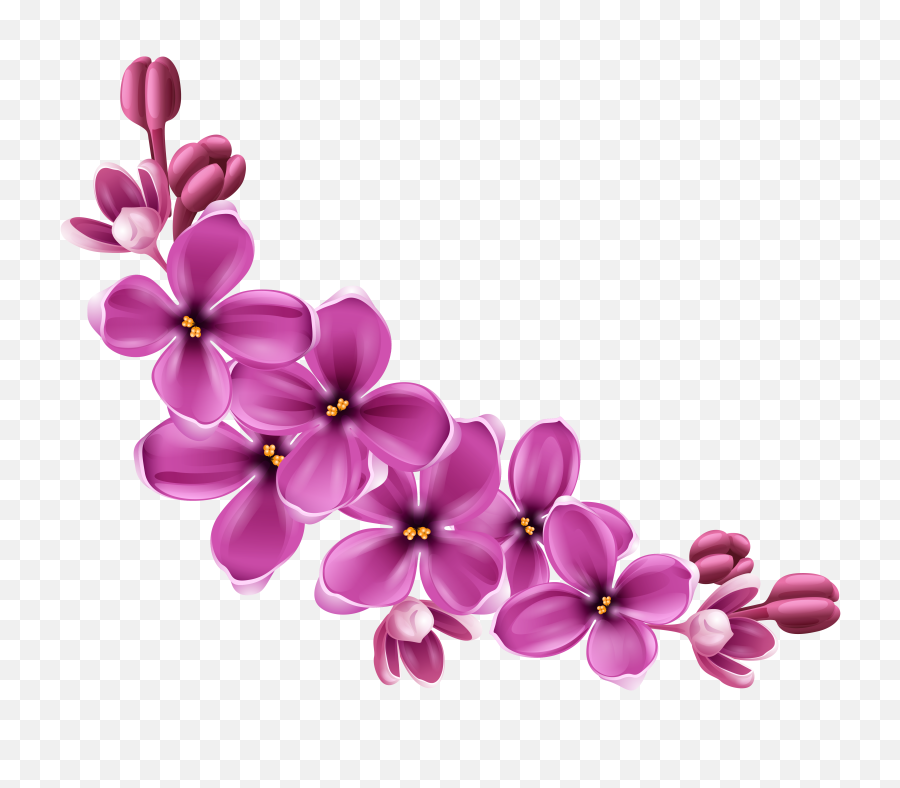 Flowers Purple Curve Transparent Png - Flower Png,Lilac Png