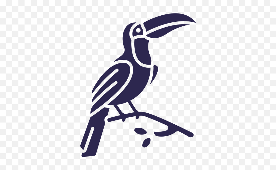 Toucan Bird Black - Tucano Em Branco E Preto Png,Toucan Png