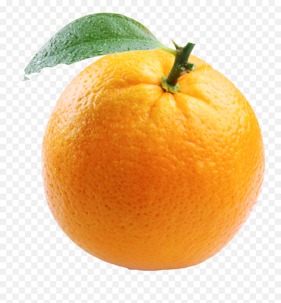 Download Orange Free Png Image - Free Transparent Png Images Things With Color Orange,Free Png Images Download