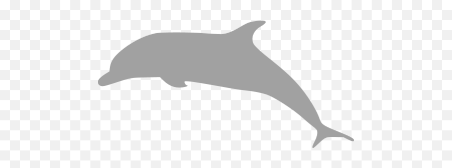Dolphin 03 Icons Images Png Transparent - Common Bottlenose Dolphin,Dolphin Icon
