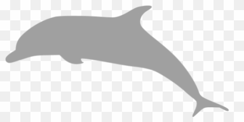 Dolphin 03 Icons Images Png Transparent - Common Bottlenose