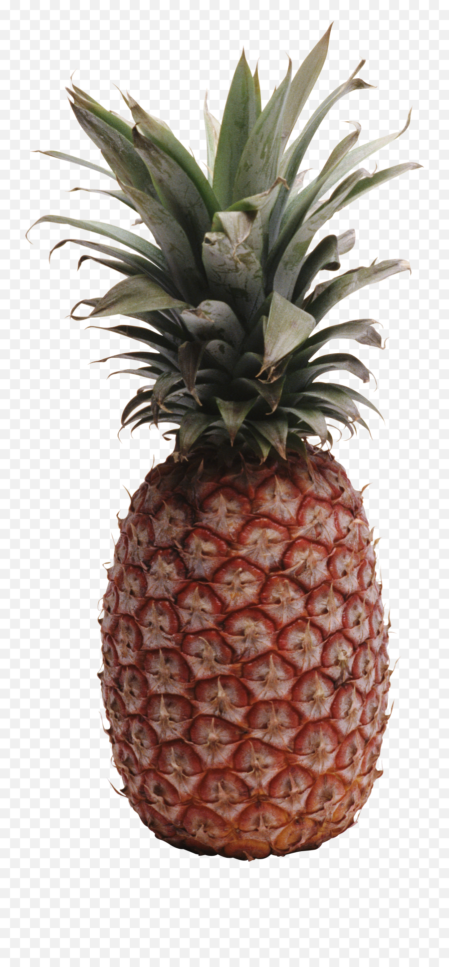 Pineapple Png Picture Transparent