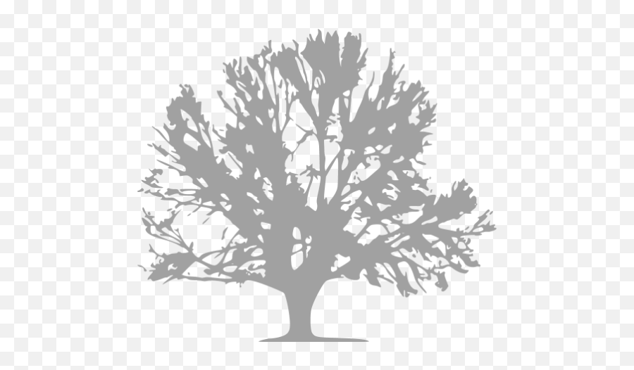 Tree 041 Icons - Transparent Tree Icon Png,Tree Icon Transparent