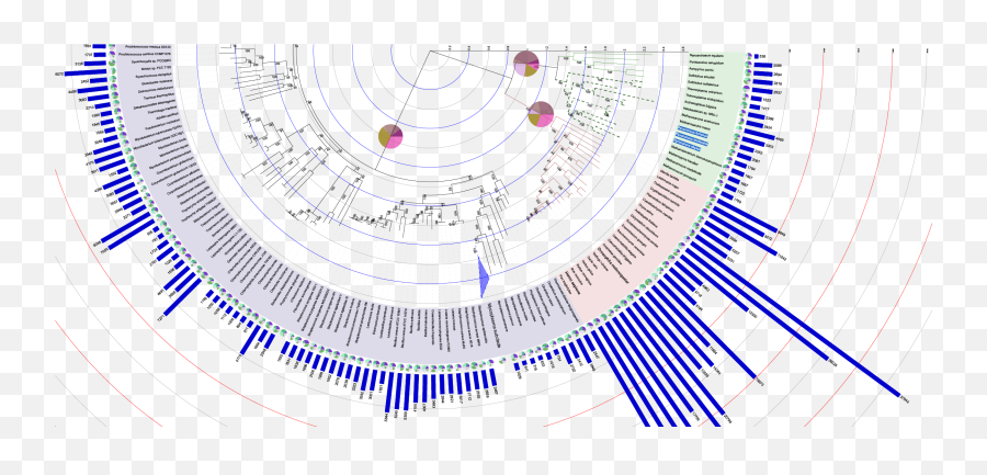 Itol Interactive Tree Of Life - Phylogenetic Tree Circular Annotation Png,Simple Tree Icon