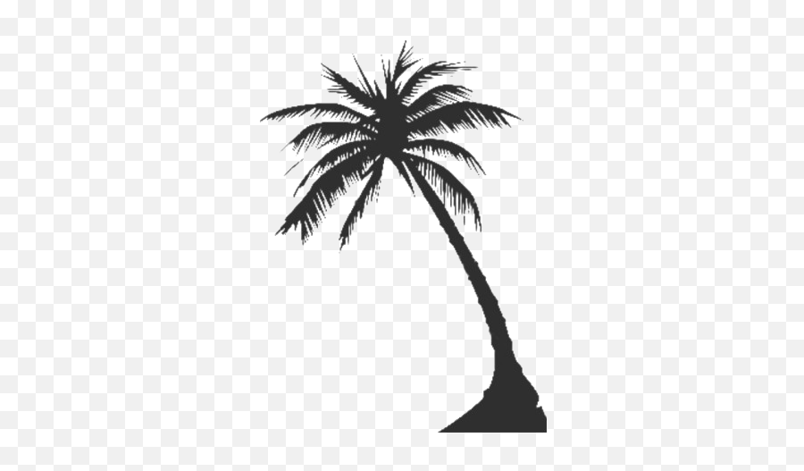 Long Coconut Tree Png Clipart All - Vector Palm Tree Silhouette,Black Tree Png
