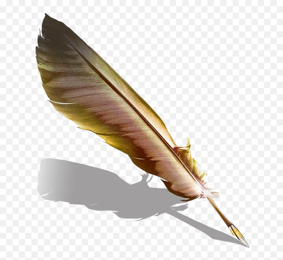 Png Pen Fountain Feather Quill Hd Image - Writing Feather Png,Quill Pen Png