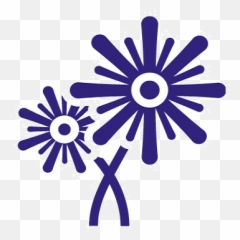 Welcome To Village Of Tinley Park Il - Caution Laser Radiation Stiker png