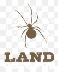 Arachnologists Animals Spiders Bug Collectors Gift Land - Trust Condom png