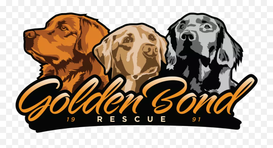 Golden Retriever Rescue And Adoption Bond - Retriever Png,Rescue Icon