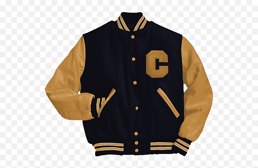 Varsity Jackets - High School Jacket Usa Png,Icon Gogo Jacket