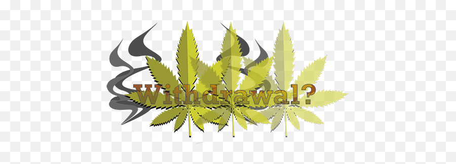 Does Marijuana Cause Withdrawals - Illustration Png,Marijuana Transparent