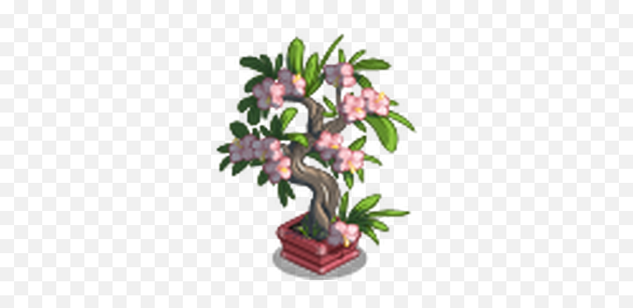 Adenium Bonsai Tree Farmville Wiki Fandom Png Icon