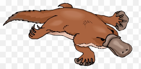 Free Clipart Clip Art Images Png Platypus