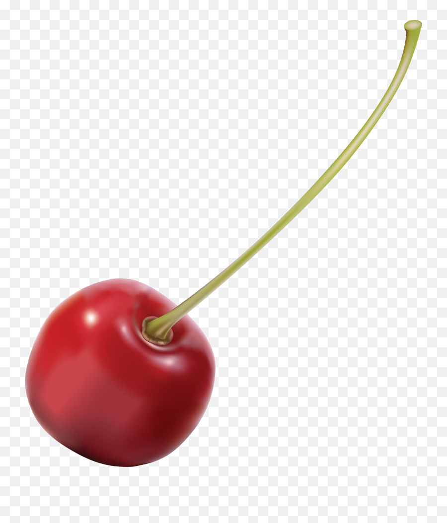 Download Cherries Png Image For Free - Transparent Background Transparent Cherry,Cherries Png