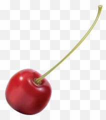 Download Cherries Png Image For Free - Transparent Background Cherry
