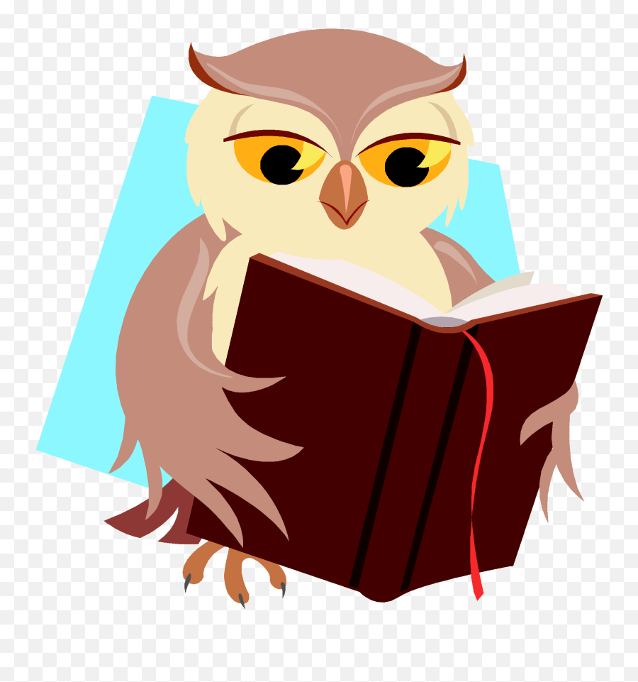 Reading Schliferaward Transparent Image - Owl Reading Book Transparent Png,Owl Transparent