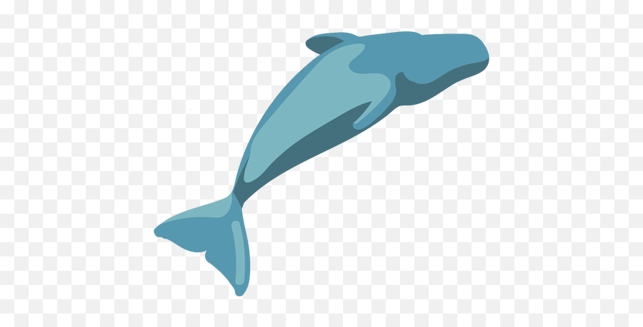 Cartoon Flat Whale Image - Transparent Png U0026 Svg Vector File Blue Whale,Whale Transparent Background