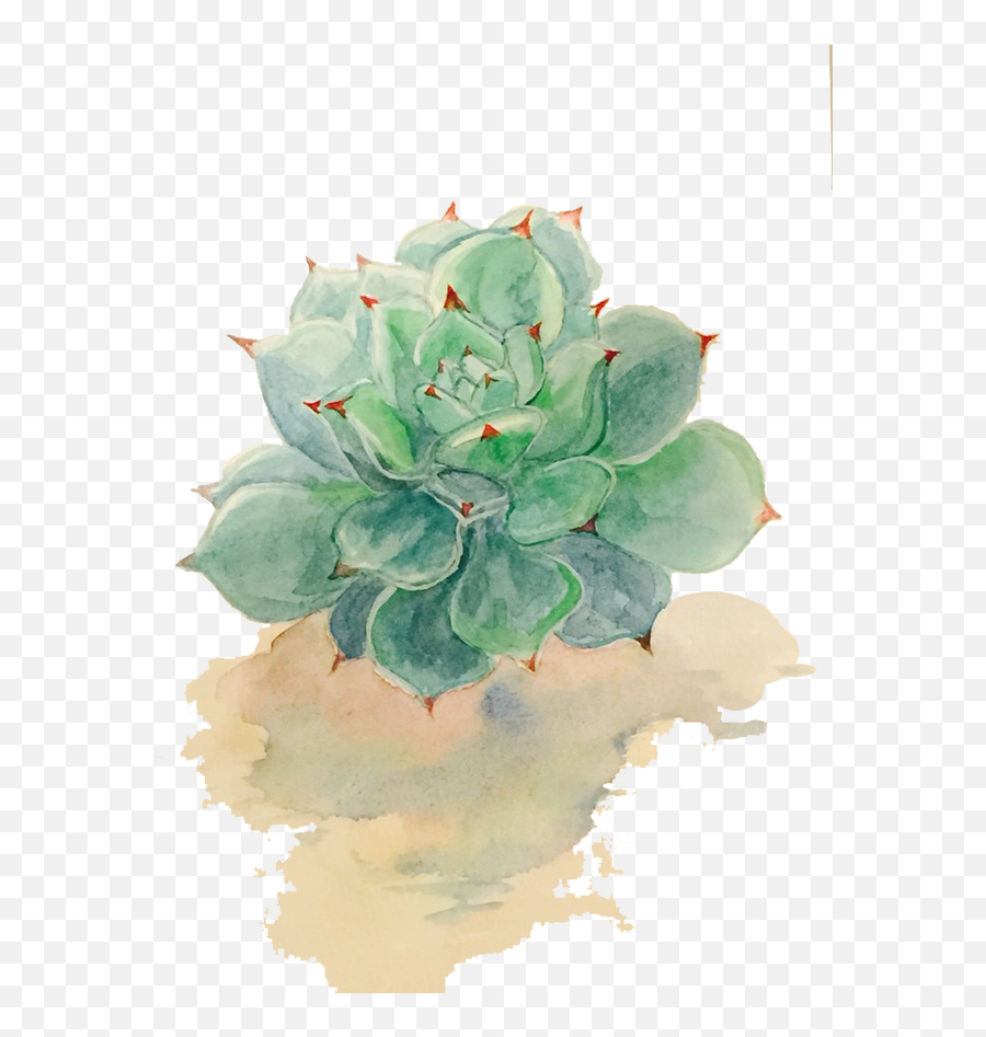 Watercolor Painting Drawing - Transparent Background Watercolor Succulent Png,Succulent Transparent Background