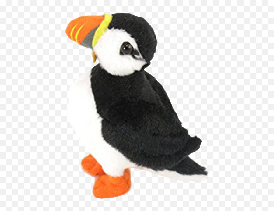 Wishpets 6 - Atlantic Puffin Png,Puffin Png