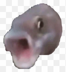 Popular And Trending Poggers Stickers - Poggers Fish Png,Pogchamp Emote Png