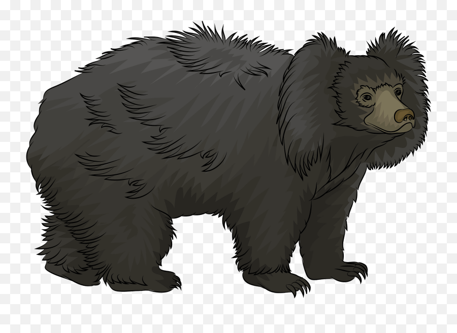Sloth Bear Clipart Free Download Transparent Png Creazilla - Sloth Bear Clipart,Sloth Transparent