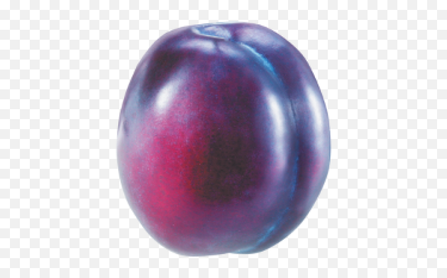 Plum Png Free Download 18 - Purple Plum,Plum Png