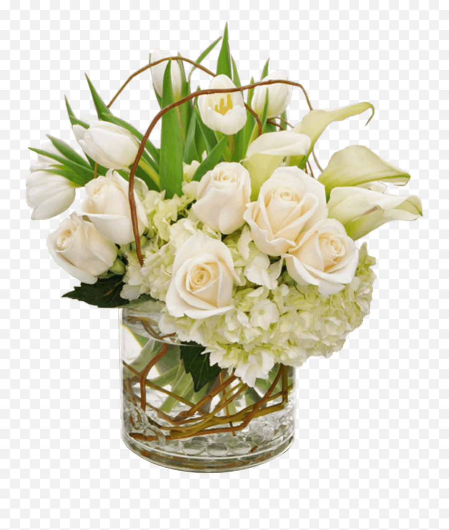 Tulips - White Tulip Floral Arrangements Png,Calla Lily Png