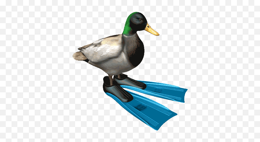 Geometry Dash Logo Generator - Spinning Duck Gif Png,Geometry Dash Logos