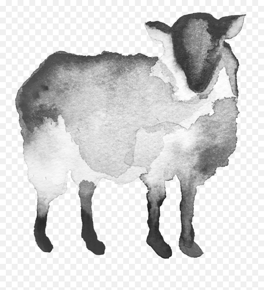 Download Black Sheep Transparent Copy - Dairy Cow Png Image Transparent Black Sheep Logo,Cow Transparent