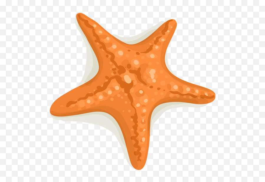 Dibujo de una estrella de mar